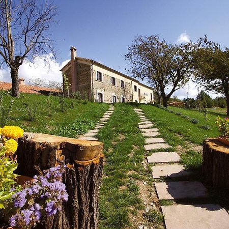 La Rosa Nel Bicchiere Guest House Soveria Mannelli Екстериор снимка