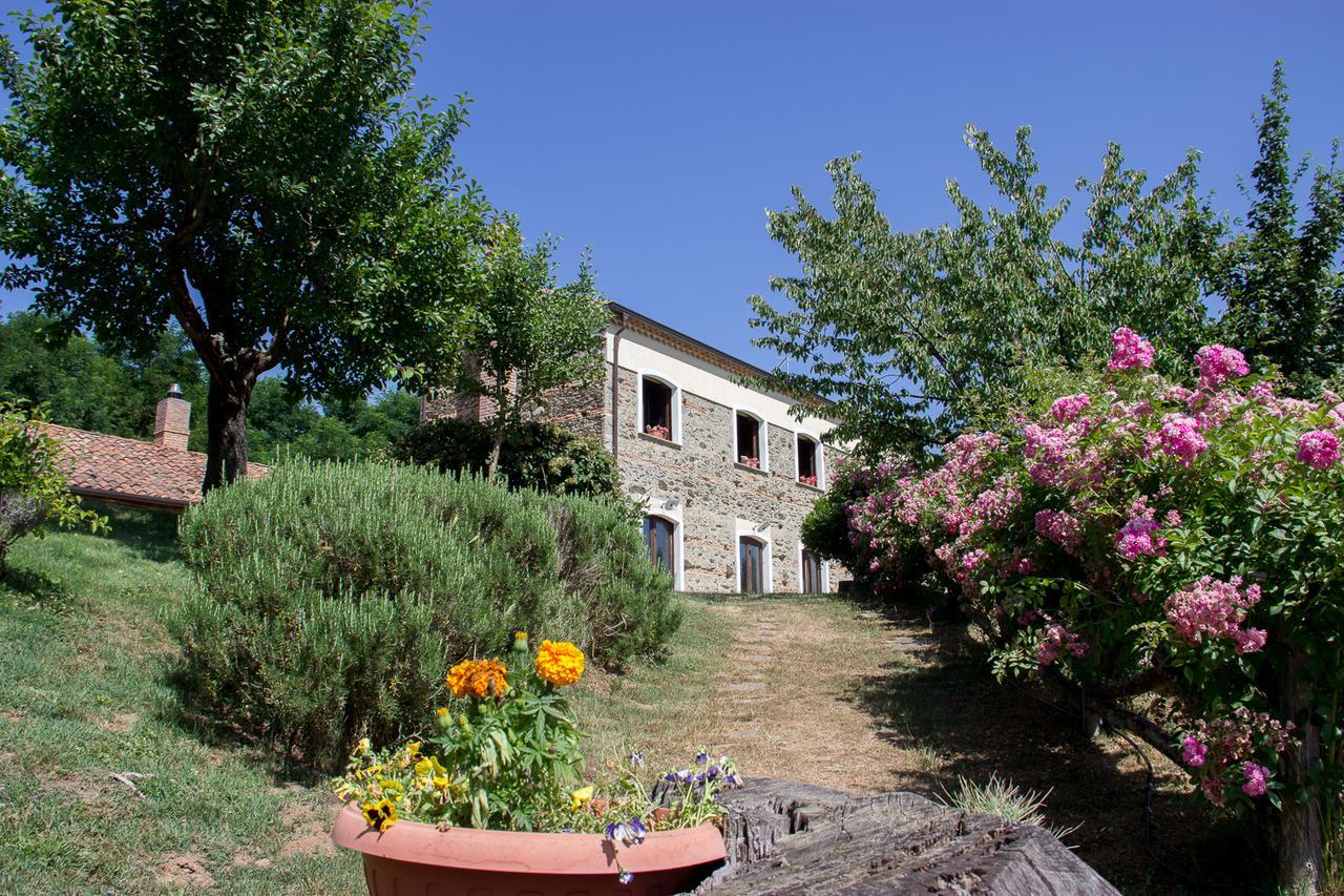 La Rosa Nel Bicchiere Guest House Soveria Mannelli Екстериор снимка